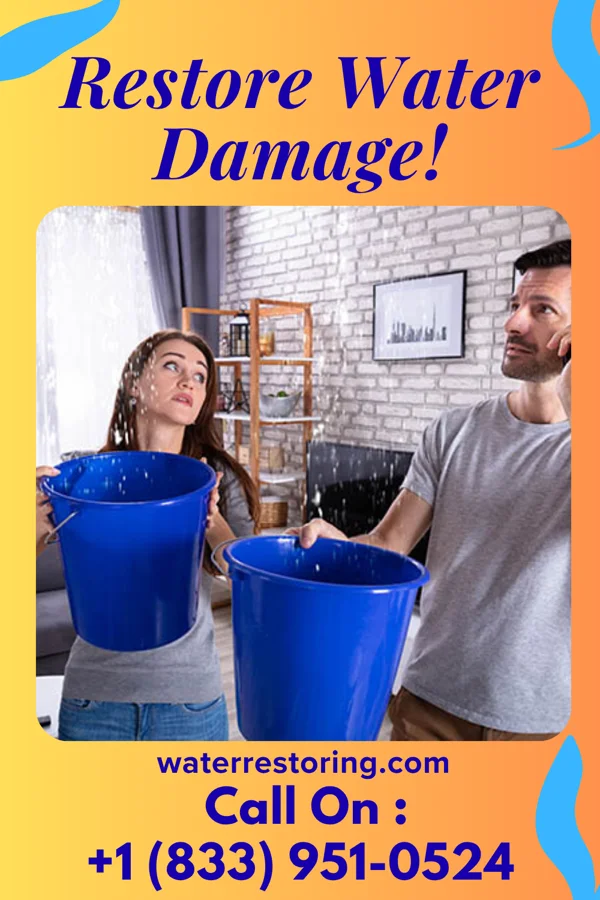 water restoration Pacific Disaster Recovery Masters Langley